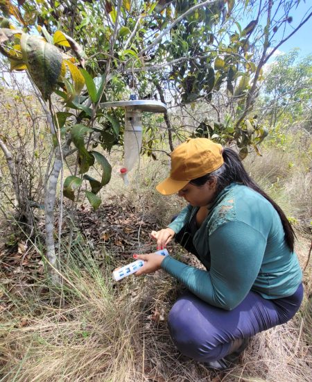 Ma. Rosana Lorrane